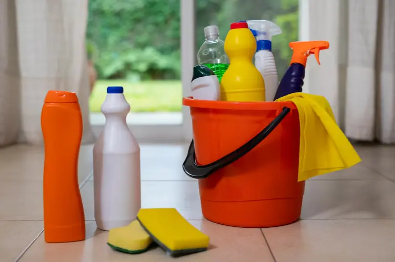 House Cleaning Service Tampa